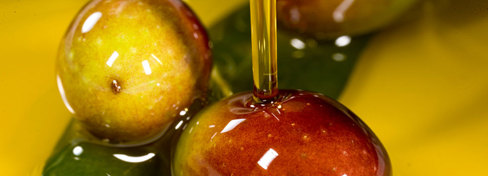 huile olive de producteur d