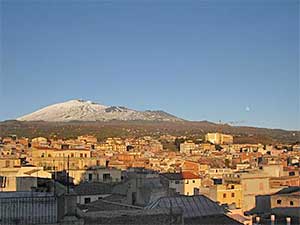 sicile-huile-olive-1